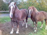 Patymecka a Lucinecka.jpg